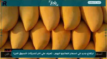 ارتفاع جديد في أسعار المانجو اليوم.. تعرف على آخر تحديثات السوق الآن!